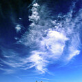 Dreamy Cirrus Clouds